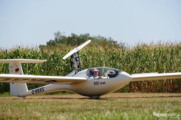 AMS Flight BEE 15