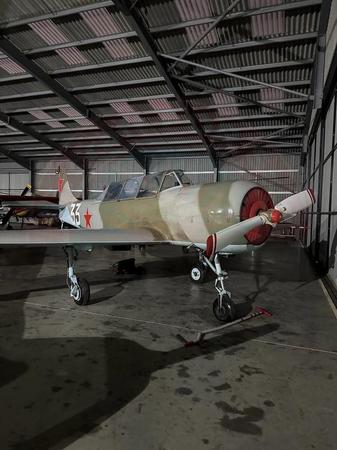 Yak 52