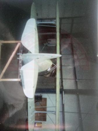 Aviat Pitts Special