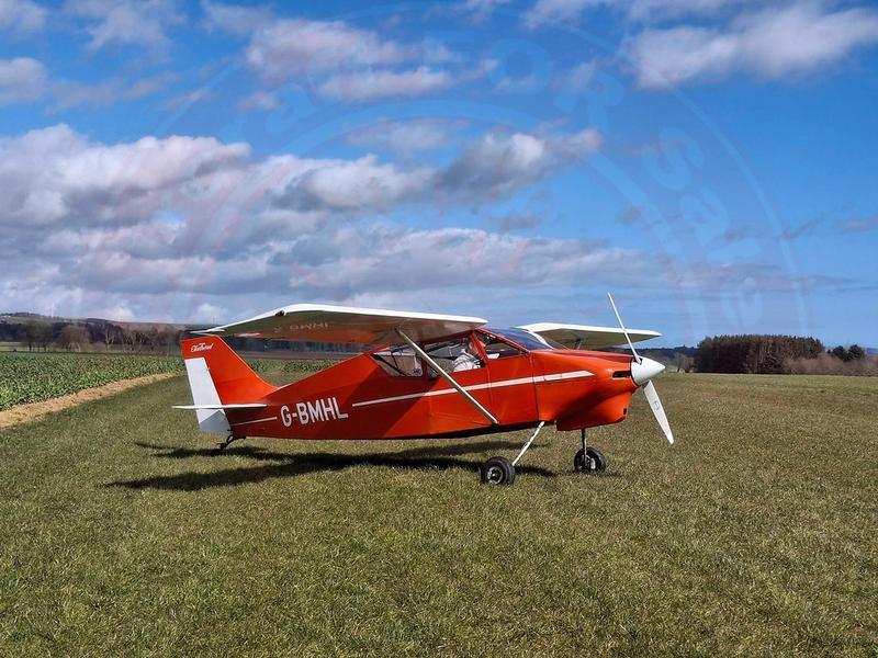 Wittman Tailwind W8