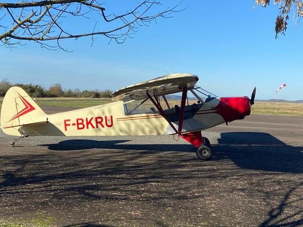 Piper PA 19