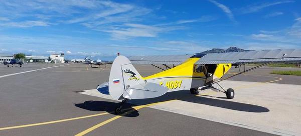 Piper PA18-150