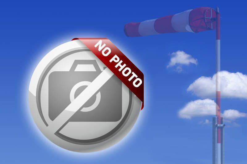 Pipistrel ALPHA Trainer