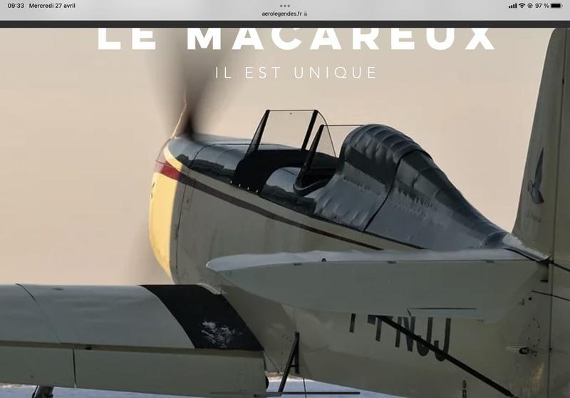 MACAREUX