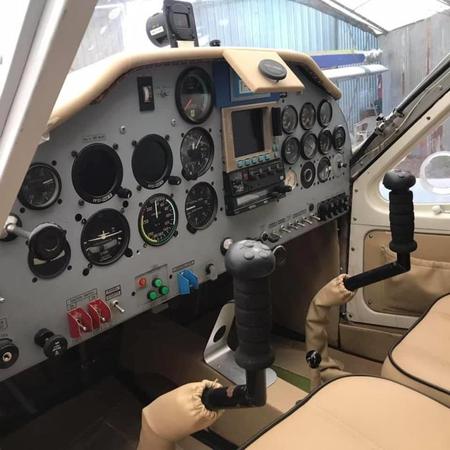 Tecnam P2000 RG