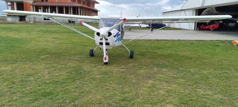 Halley Apollo Fox