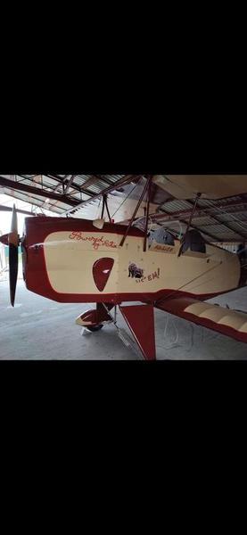 Platzer KIEBITZ