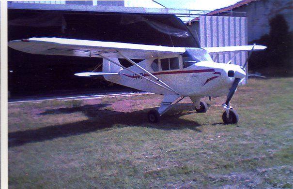 Piper Colt