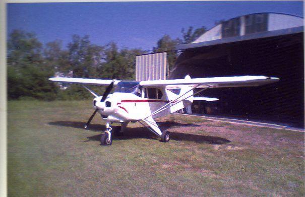 Piper Colt