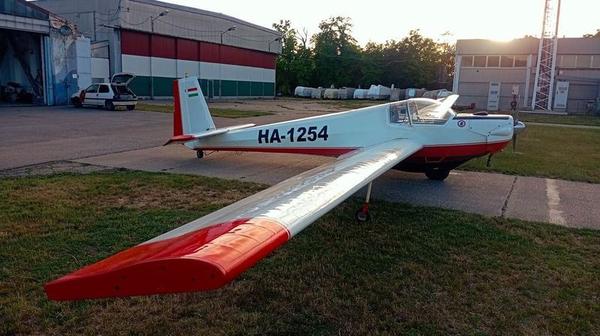 Scheibe SF 25