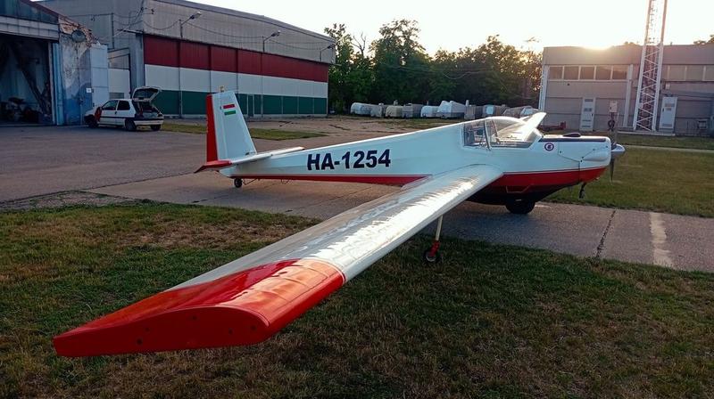 Scheibe SF 25
