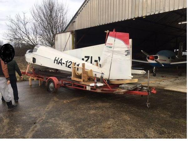 Scheibe SF 25