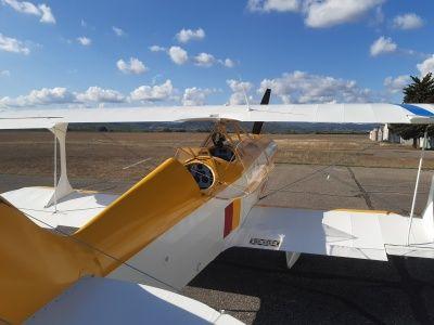 Steen Aerolab Skybolt