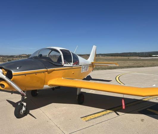 Robin DR220