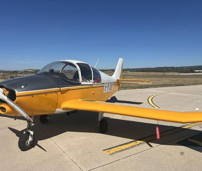 Robin DR220