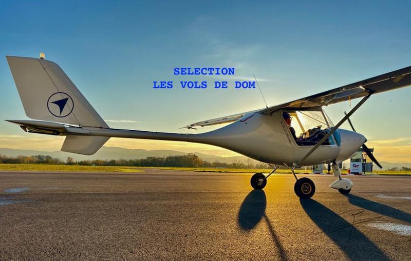 Flysynthesis Storch