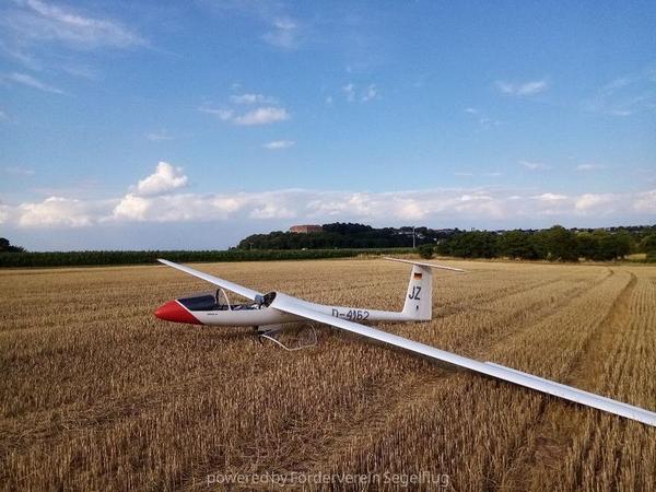 SZD SZD-41 15m, Club