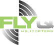 Fly Q Limited