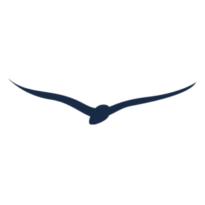 Bluebird Aviation