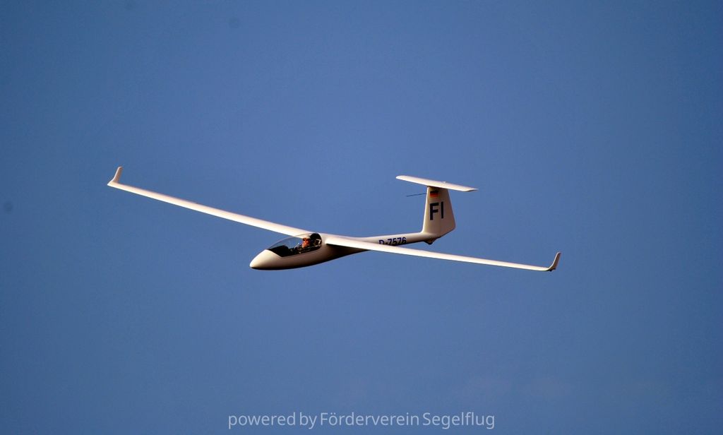 SZD SZD-41 15m, fotografía 6 de 8