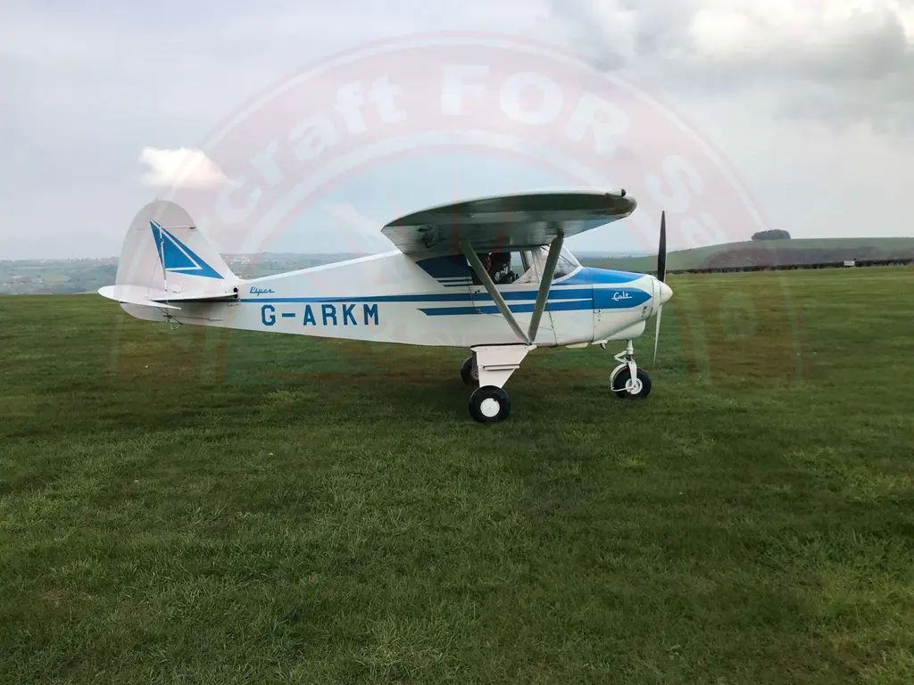 Piper Colt, fotografía 8 de 9