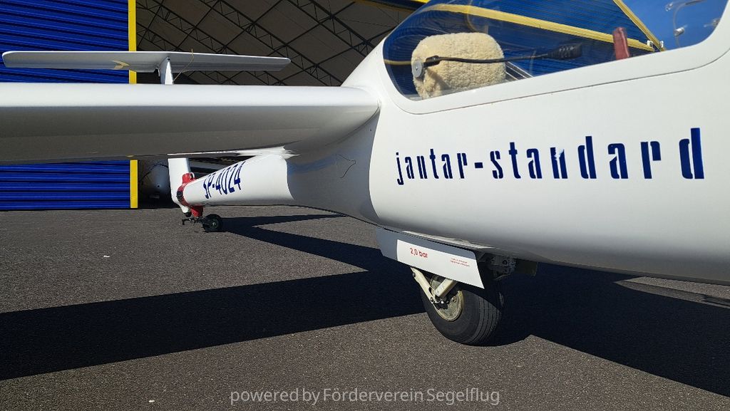 SZD SZD-41 Standard export, fotografía 4 de 8