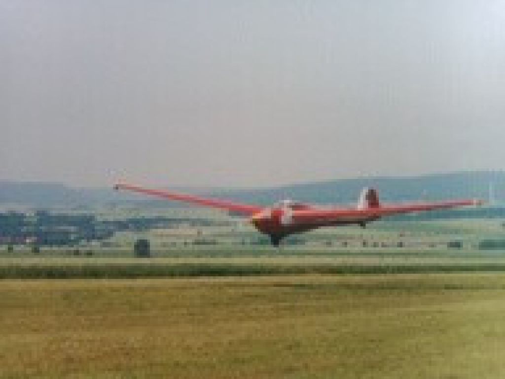 Scheibe Bergfalke, fotografía 2 de 10