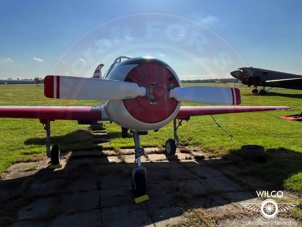 Yakovlev Yak-52, fotografía 11 de 25