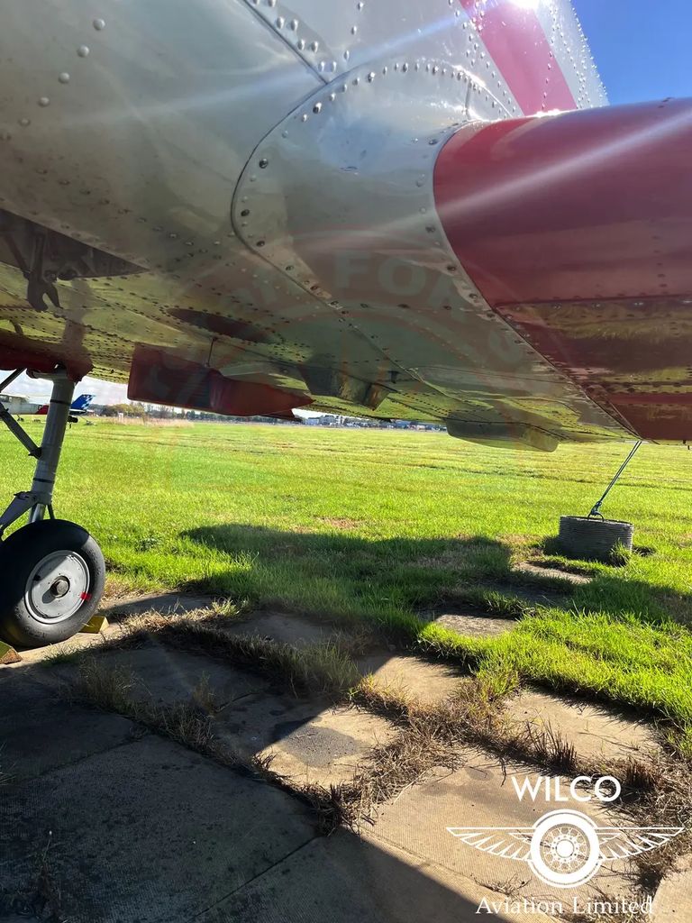 Yakovlev Yak-52, fotografía 14 de 25