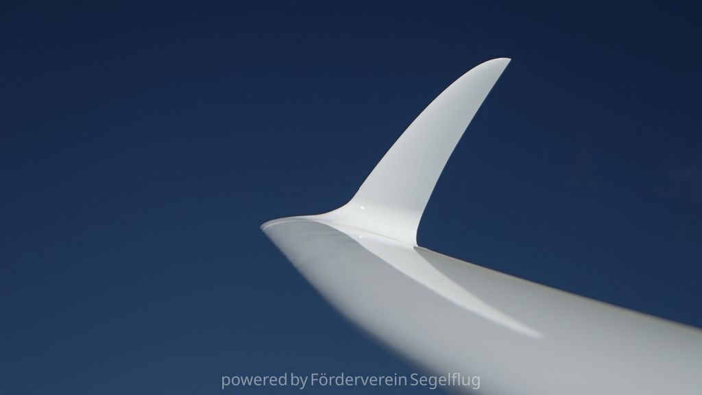 Rolladen-Schneider LS4 Jet Neo, fotografía 10 de 10