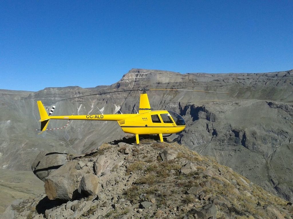 Robinson R44, fotografía 5 de 6