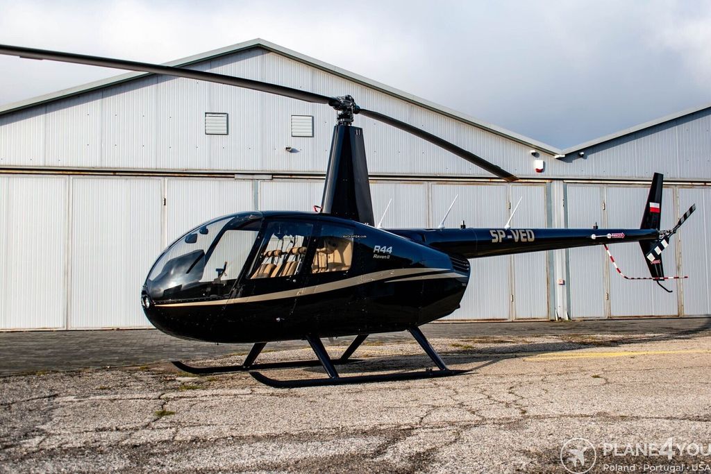 Robinson R44, fotografía 2 de 20