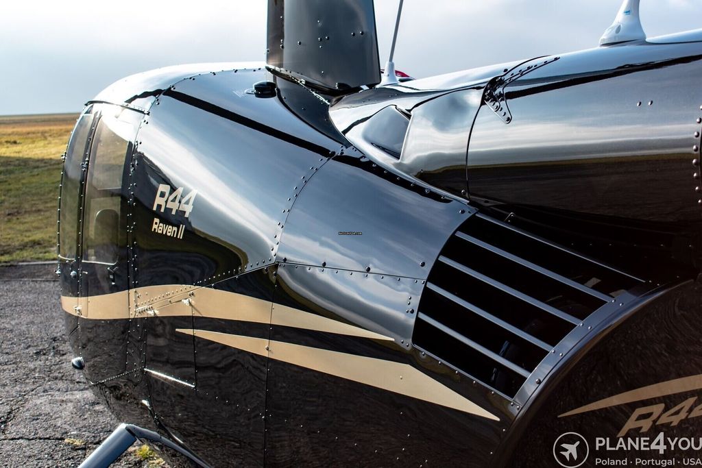 Robinson R44, fotografía 5 de 20