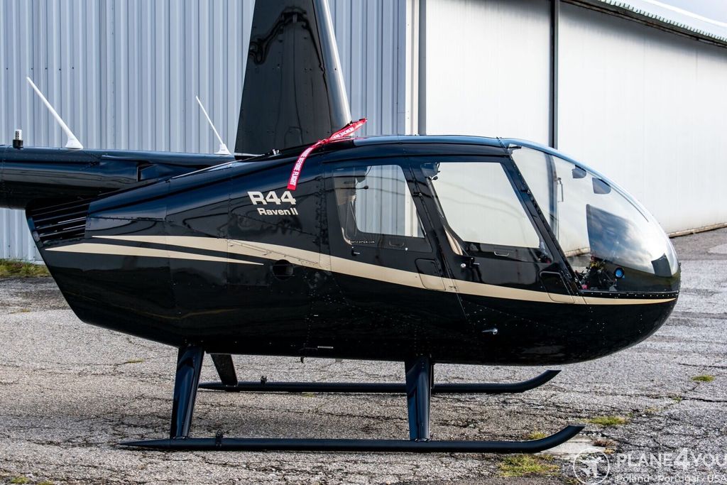 Robinson R44, fotografía 9 de 20