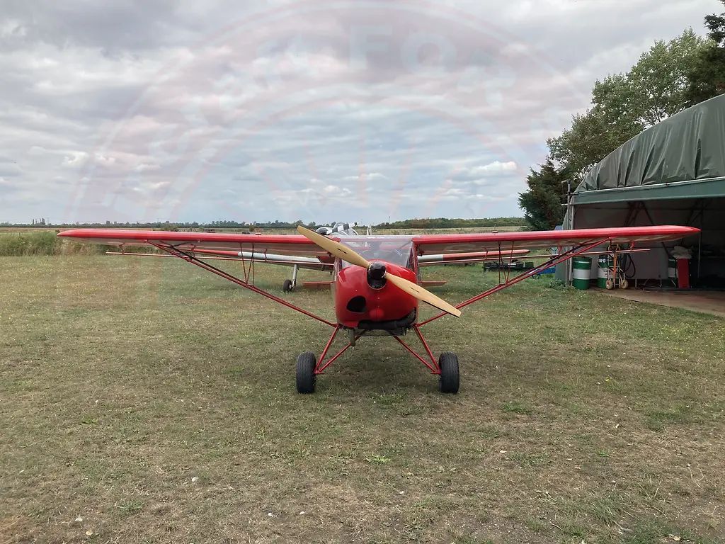 Avid Speedwing, fotografía 4 de 9
