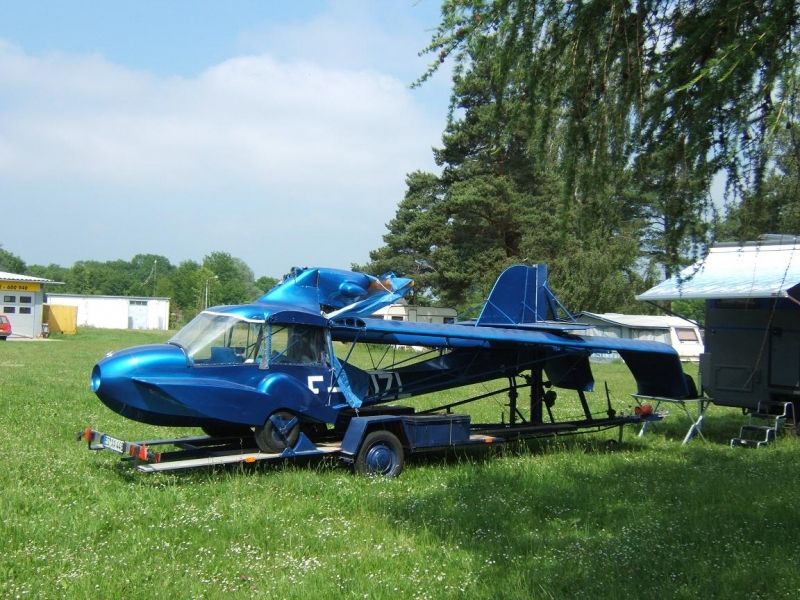 Avid Amphibian, fotografía 2 de 5
