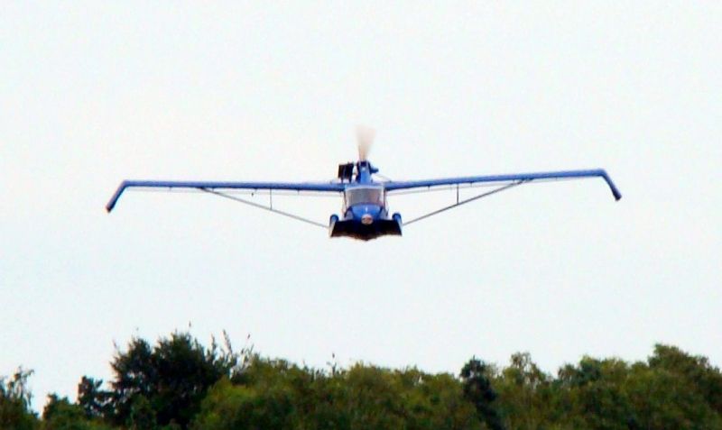 Avid Amphibian, fotografía 4 de 5
