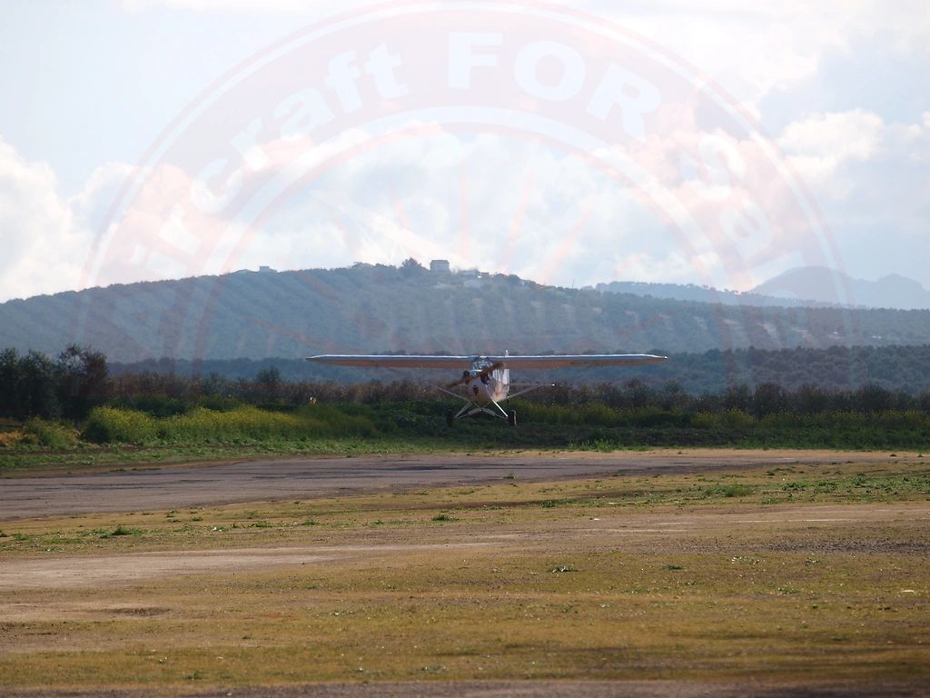 Piper J-3 L-4J, fotografía 5 de 9