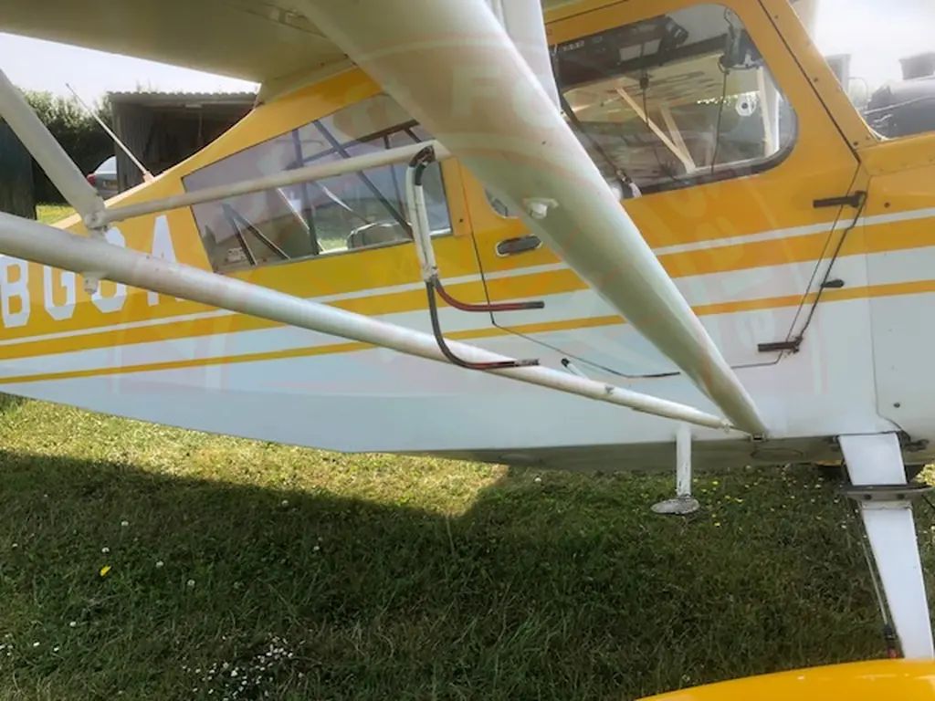 Bellanca Citabria 7 GCBC, fotografía 6 de 10