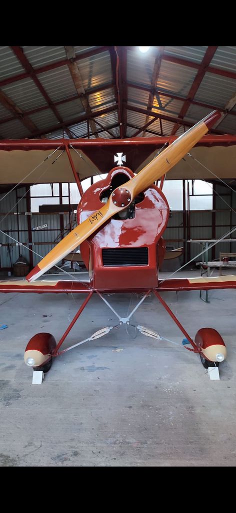 Platzer KIEBITZ, fotografía 4 de 5