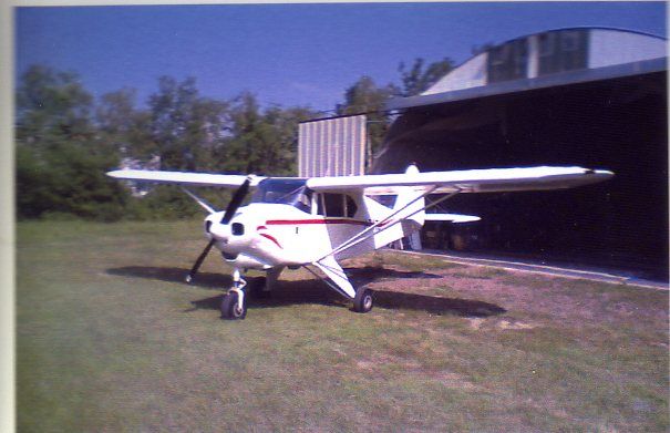 Piper Colt, fotografía 4 de 8