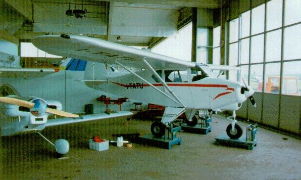 Piper Colt, fotografía 6 de 8