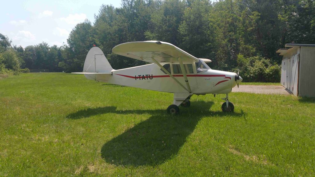 Piper Colt, fotografía 8 de 8