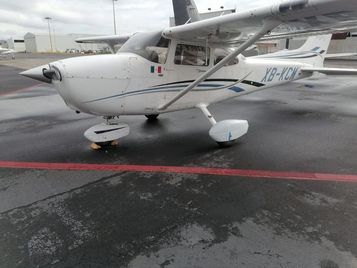 Cessna 172, fotografía 4 de 8