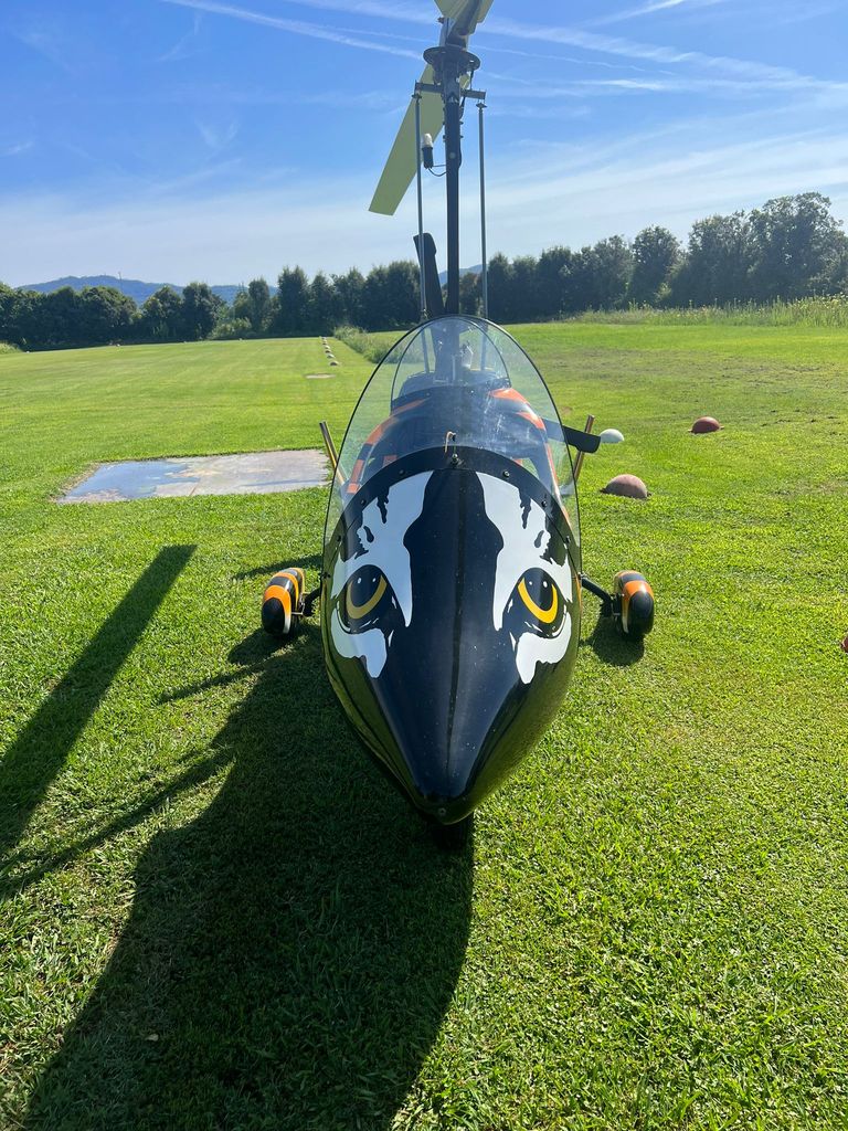 ELA Aviación ELA 07, fotografía 2 de 6