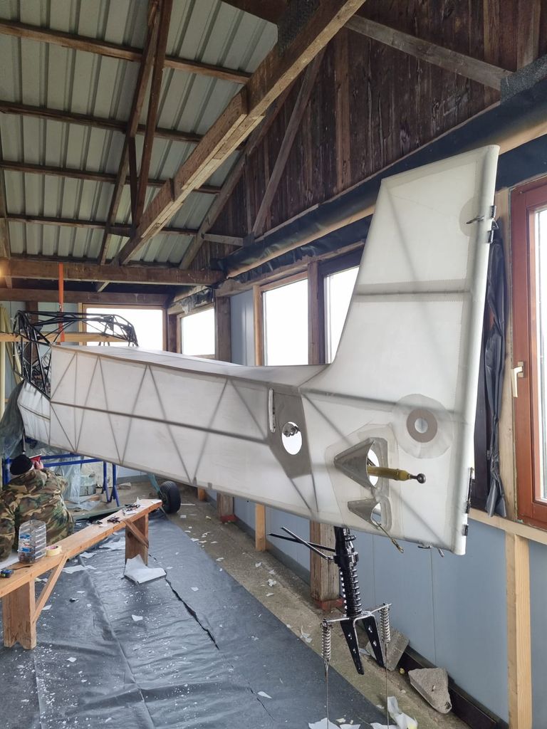Flysynthesis Storch, fotografía 4 de 8