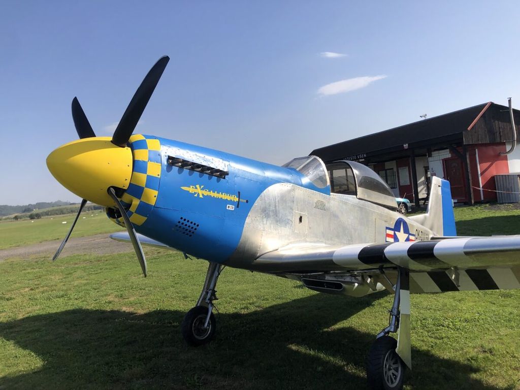 Titan Aircraft REPLIKA MUSTANG P-51 V MĚŘÍTKU 3/4 3/4, photo 1 sur 9