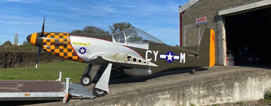 Loehle P 51 51 Mustang, fotografía 3 de 3