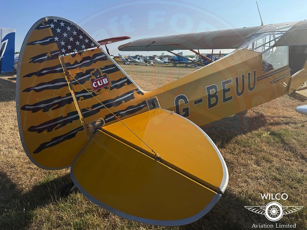Piper L-18C Super Cub, fotografía 8 de 24