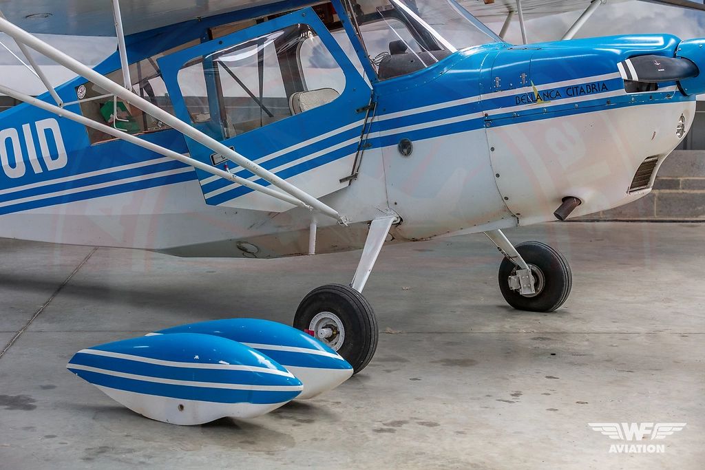 Bellanca Citabria 7ECA, fotografía 4 de 12